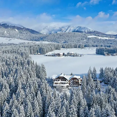 Haeuserl Im Wald Hotel Mariapfarr